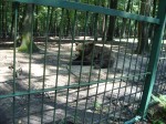 La Zoo Din Targu Mures 02